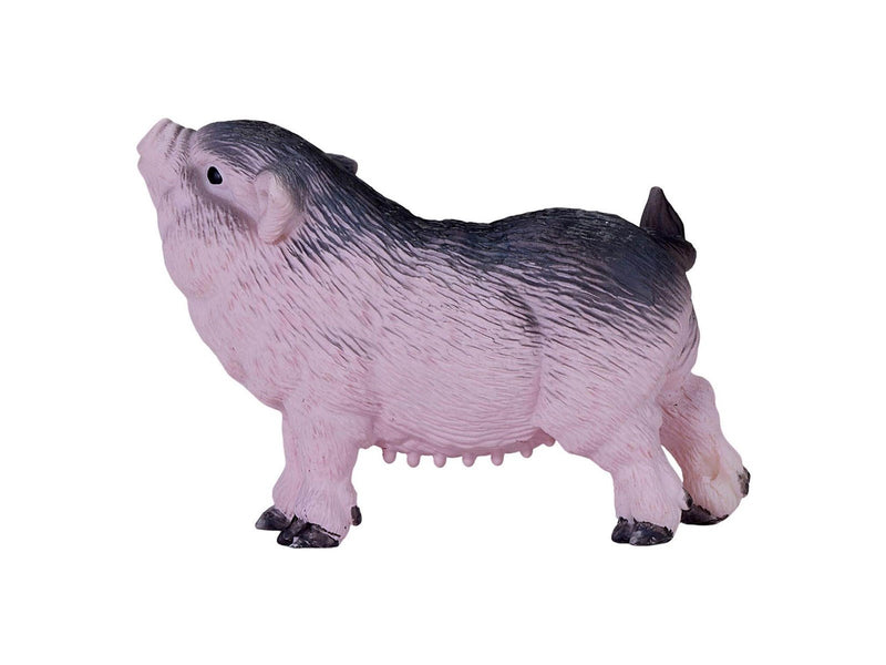 Mojo - Farmland Pot-bellied Piglet