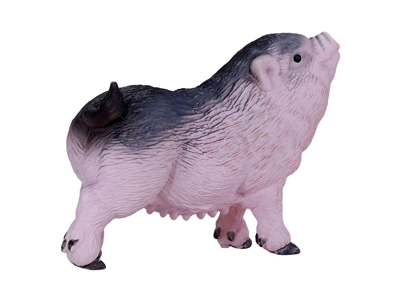 Mojo - Farmland Pot-bellied Piglet