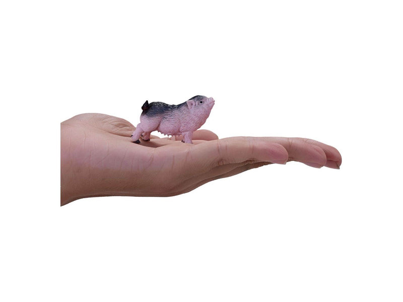Mojo - Farmland Pot-bellied Piglet