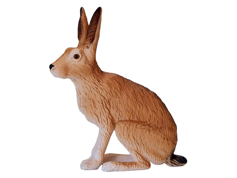 Mojo - Wildlife Hare