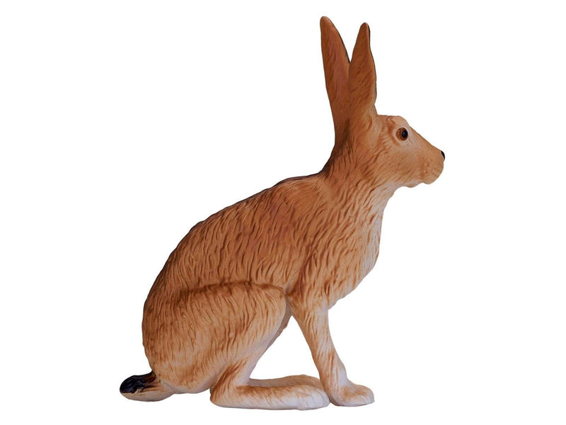 Mojo - Wildlife Hare