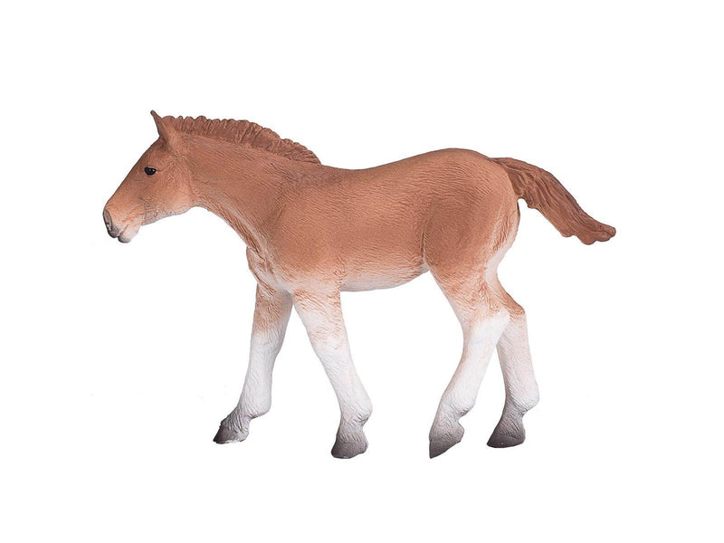 Mojo - Horse World Suffolk Punch Foal
