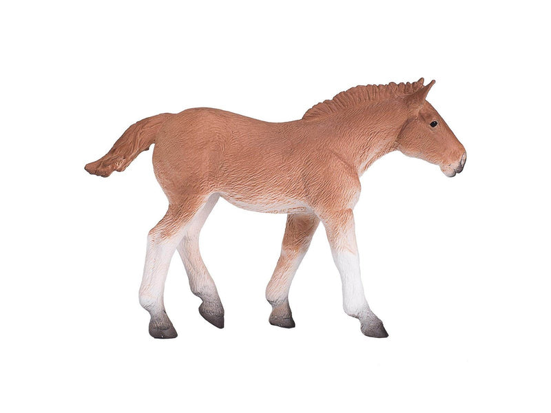 Mojo - Horse World Suffolk Punch Foal