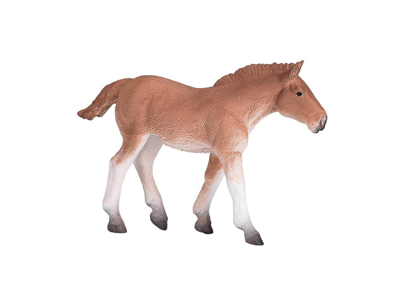 Mojo - Horse World Suffolk Punch Foal