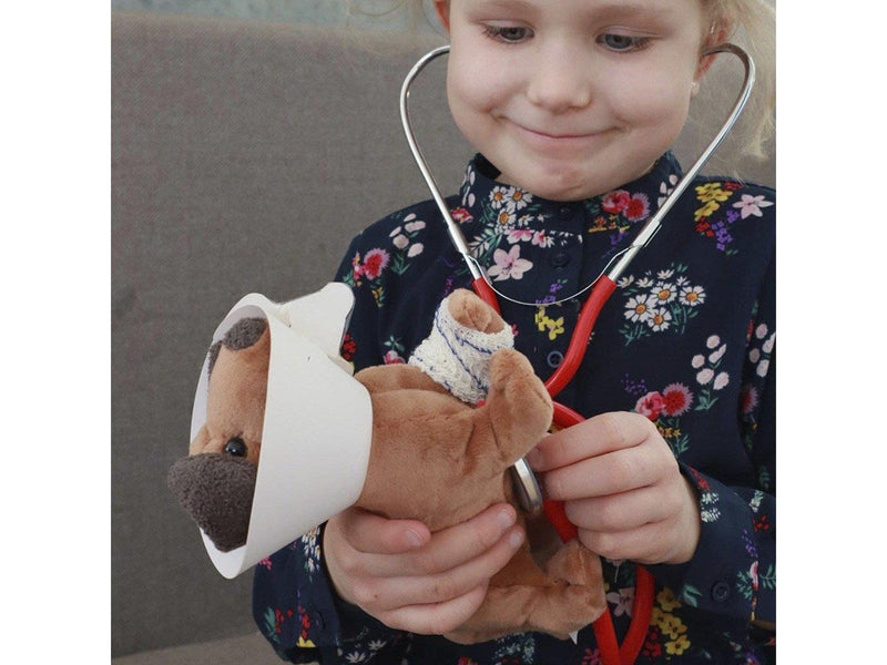 Egmont Toys Veterinary Case