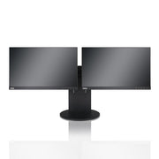 ThinkCentre Tiny-in-One Standfuß für zwei Monitore, schwarz