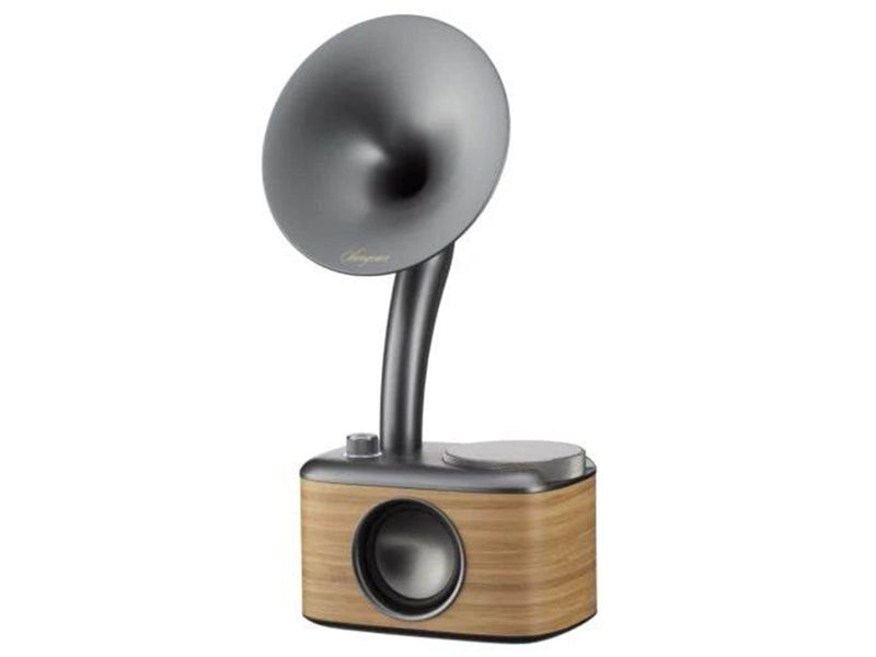 Sangean CP-100D Radio - DAB/DAB+
