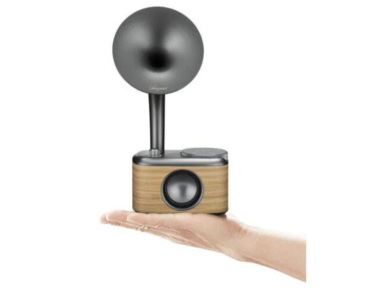 Sangean CP-100D Radio - DAB/DAB+
