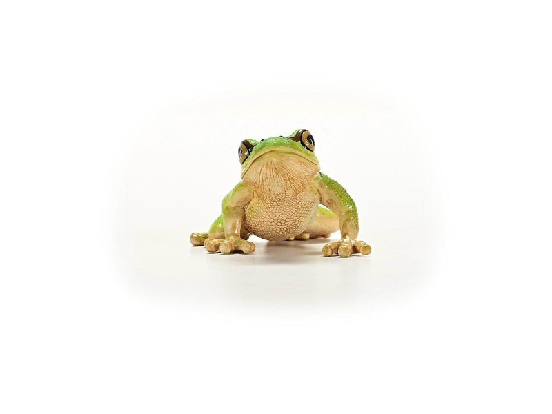 Schleich Wild Life European Tree Frog