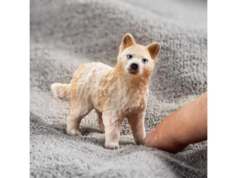 Schleich Wild Life Arctic Wolf Cub