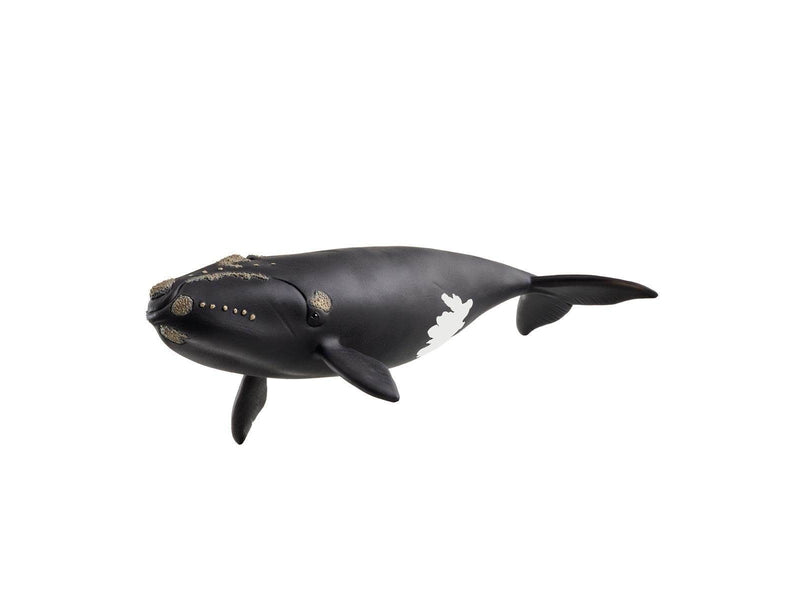 Schleich Wild Life North Atlantic Right Whale