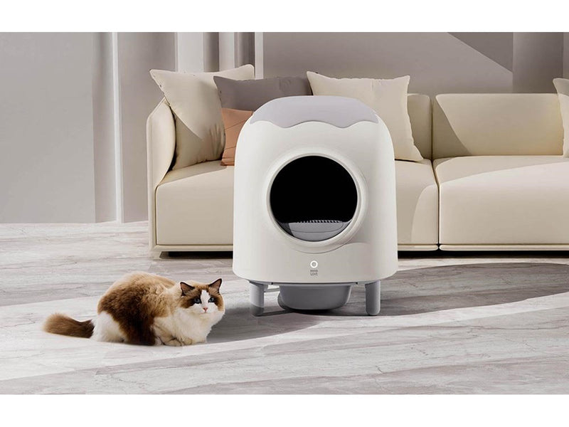 HHOLove Intelligent Self-Cleaning Cat Litterbox iPet