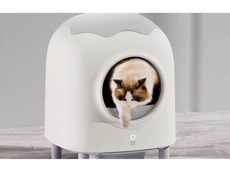 HHOLove Intelligent Self-Cleaning Cat Litterbox iPet