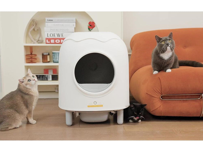 HHOLove Intelligent Self-Cleaning Cat Litterbox iPet