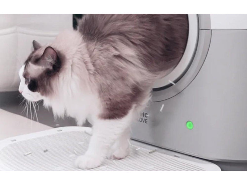 HHOLove Intelligent Self-Cleaning Cat Litter Box PRO CL-TYW