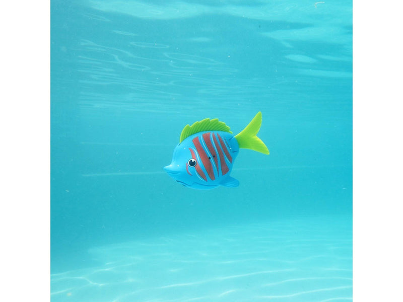 Swimways Beta Fish