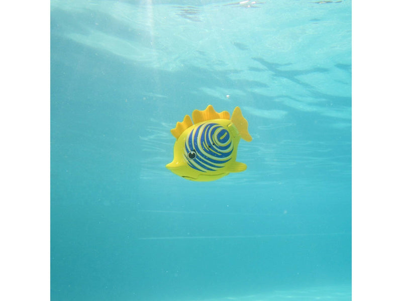 Swimways Zebra Fish