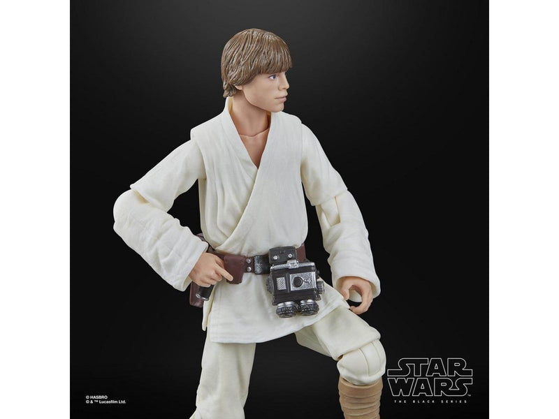 Hasbro Star Wars The Black Series Luke Skywalker Star Wars: A New Hope Collectible 15cm Action Figure