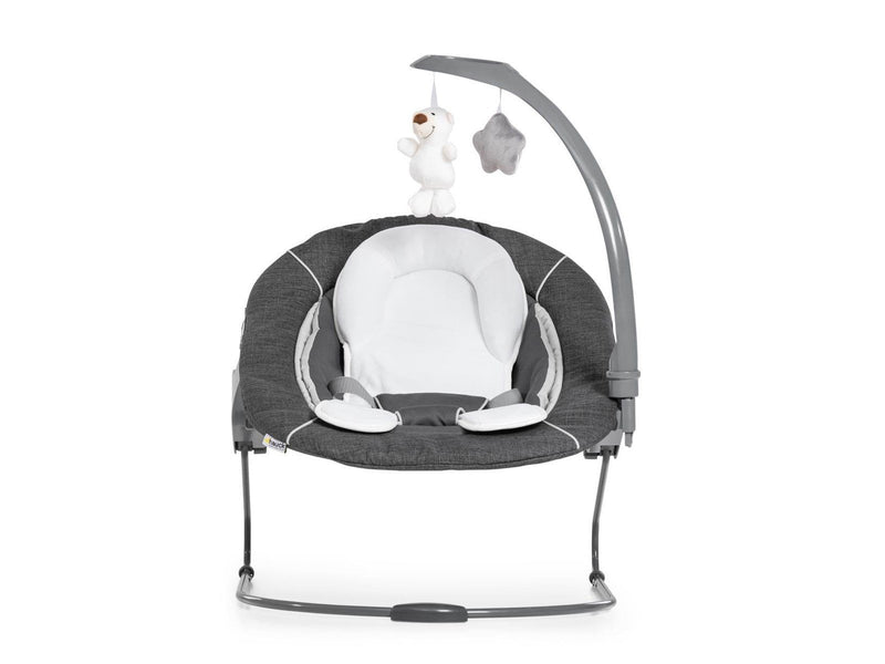 Hauck Alpha Bouncer Deluxe baby rocker/bouncer