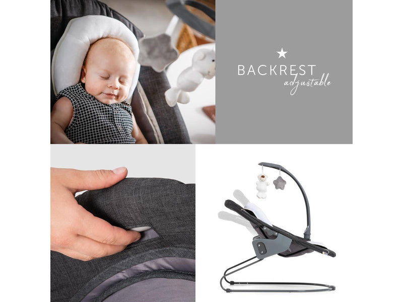Hauck Alpha Bouncer Deluxe baby rocker/bouncer