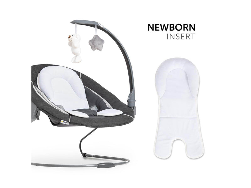 Hauck Alpha Bouncer Deluxe baby rocker/bouncer