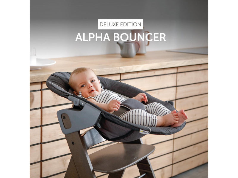Hauck Alpha Bouncer Deluxe baby rocker/bouncer