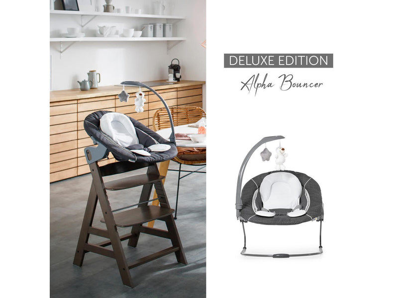 Hauck Alpha Bouncer Deluxe baby rocker/bouncer