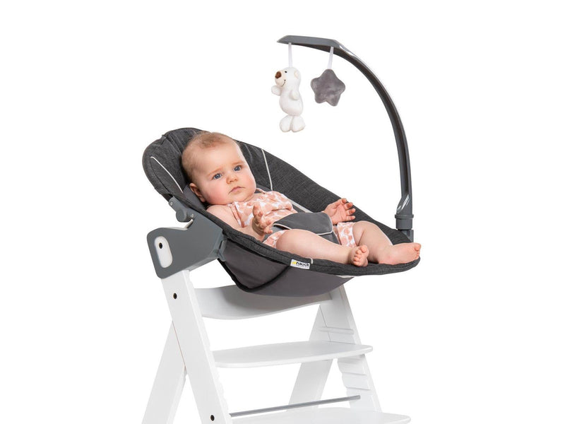 Hauck Alpha Bouncer Deluxe baby rocker/bouncer