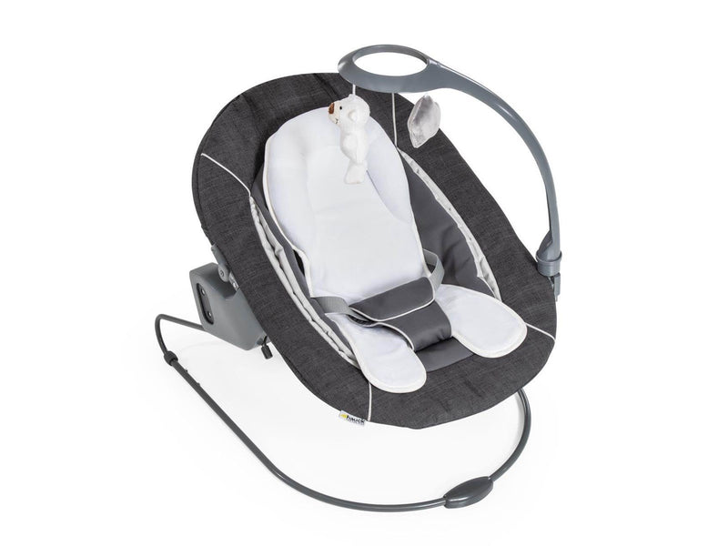 Hauck Alpha Bouncer Deluxe baby rocker/bouncer