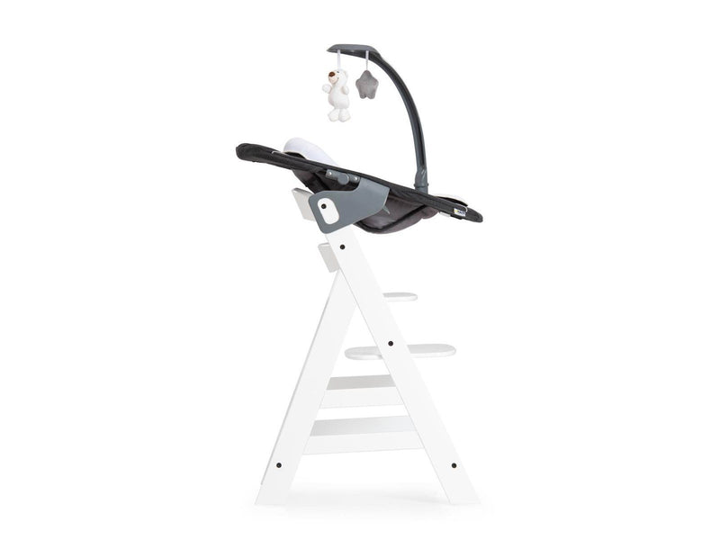 Hauck Alpha Bouncer Deluxe baby rocker/bouncer