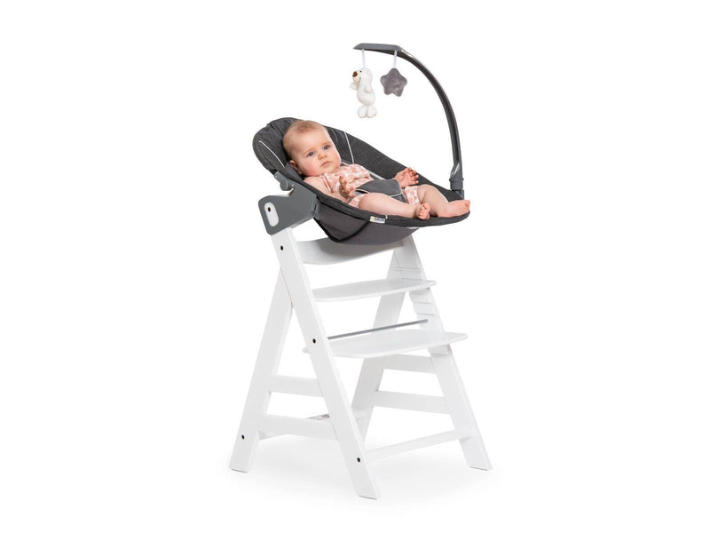 Hauck Alpha Bouncer Deluxe baby rocker/bouncer