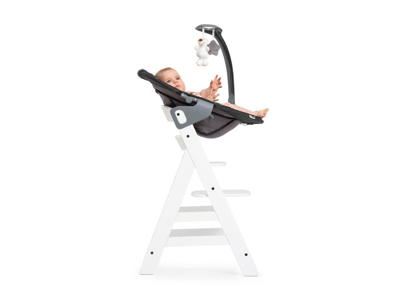 Hauck Alpha Bouncer Deluxe baby rocker/bouncer