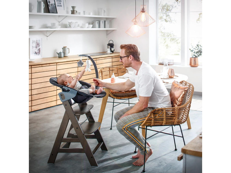 Hauck Alpha Bouncer Deluxe baby rocker/bouncer