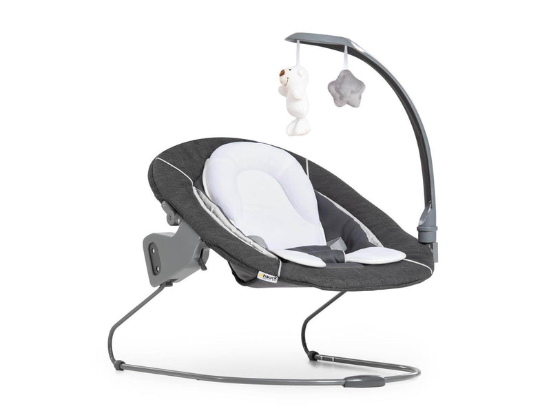 Hauck Alpha Bouncer Deluxe baby rocker/bouncer