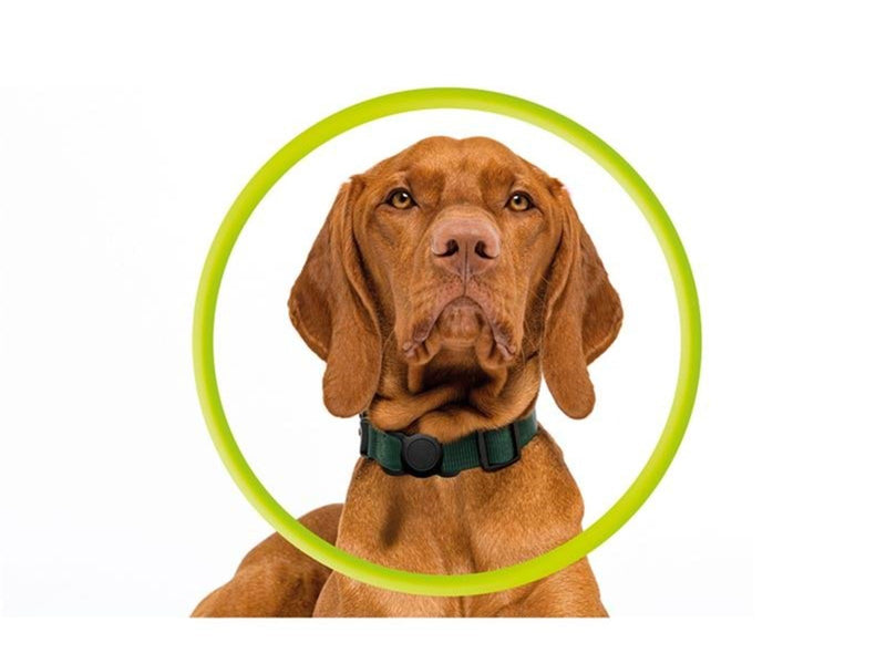 Mobile Origin AirTag Pet Collar - Black