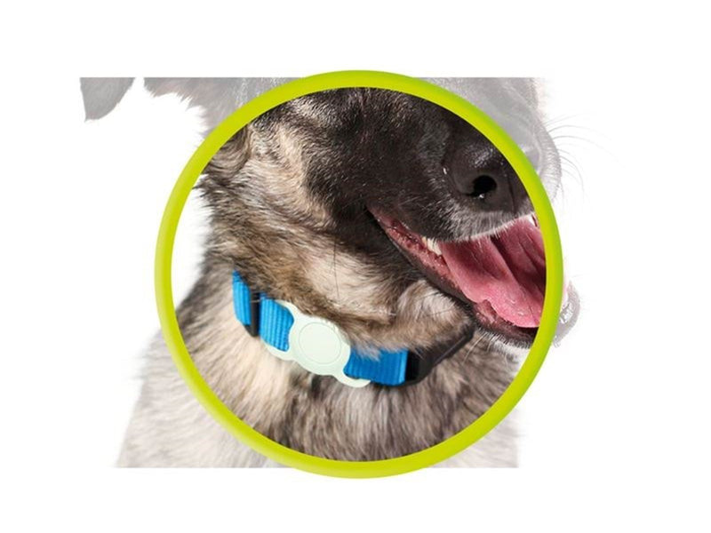 Mobile Origin AirTag Pet Collar - Luminous Green