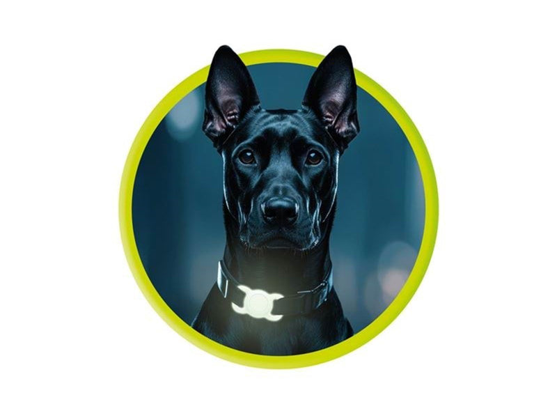 Mobile Origin AirTag Pet Collar - Luminous Green