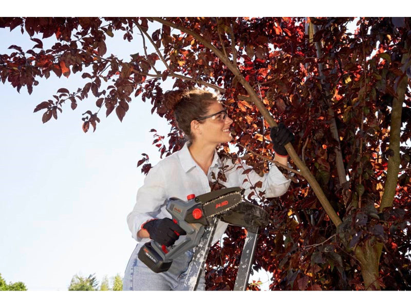 AL-KO Mini chainsaw CSM 1815 w/battery and charger incl. transport box oil container
