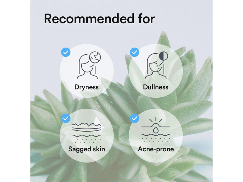 ABIB Collagen Gel Mask Sedum Jelly 1 pcs