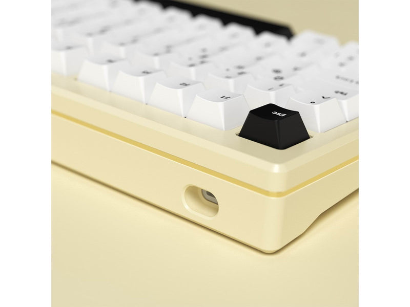 Akkogear MOD 007B HE Cream White - Gaming Tastaturen - ohne Numpad - Universal - Weiss