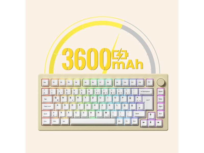 Akkogear MOD 007B HE Cream White - Gaming Tastaturen - ohne Numpad - Universal - Weiss