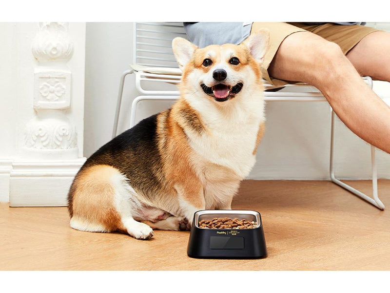 Pawbby Smart Pet Bowl