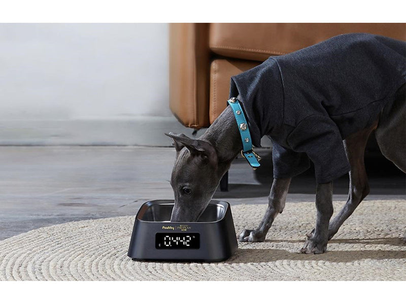 Pawbby Smart Pet Bowl