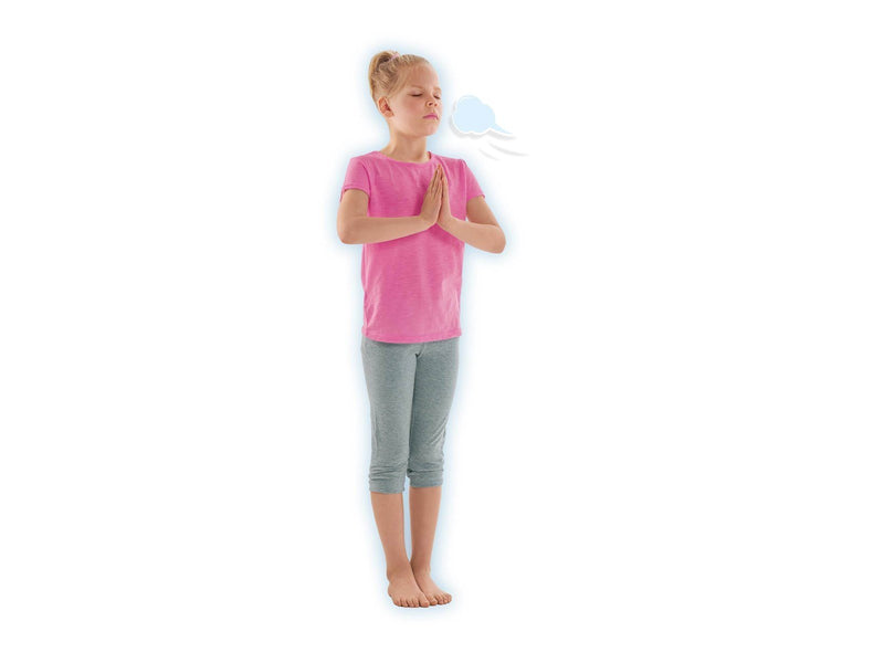 SES Creative Zen Yoga Animals