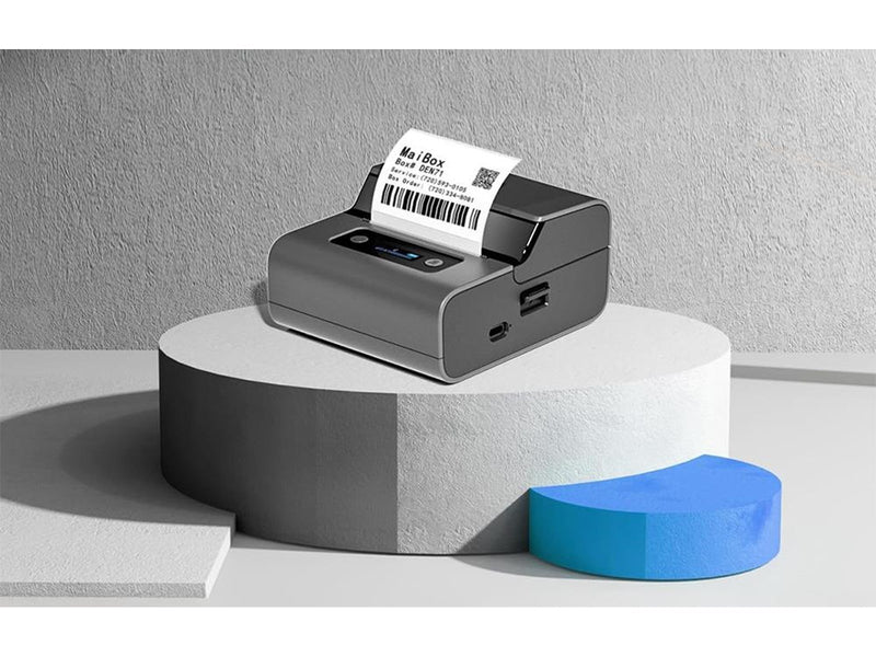 Phomemo M221 Portable Label Printer - Gray and Black