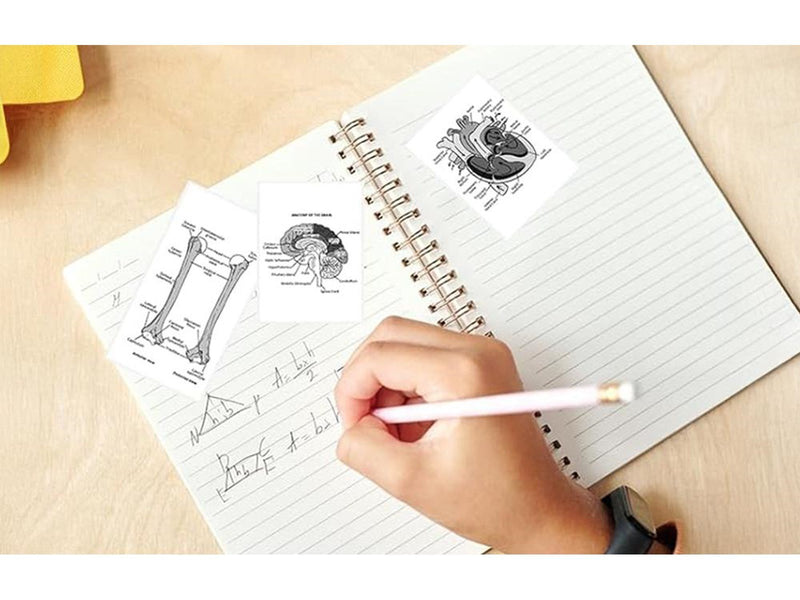 Phomemo Q12-RM10 Thermal Paper