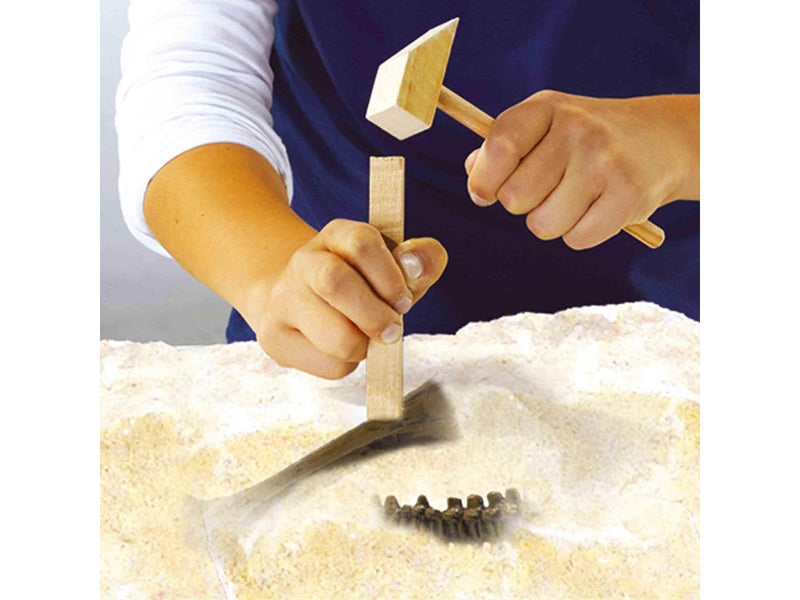 SES Creative Explore Dino and Skeleton Excavation 2-in-1 - Stegosaurus