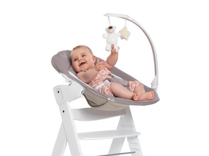 Hauck Alpha Bouncer Deluxe baby rocker/bouncer