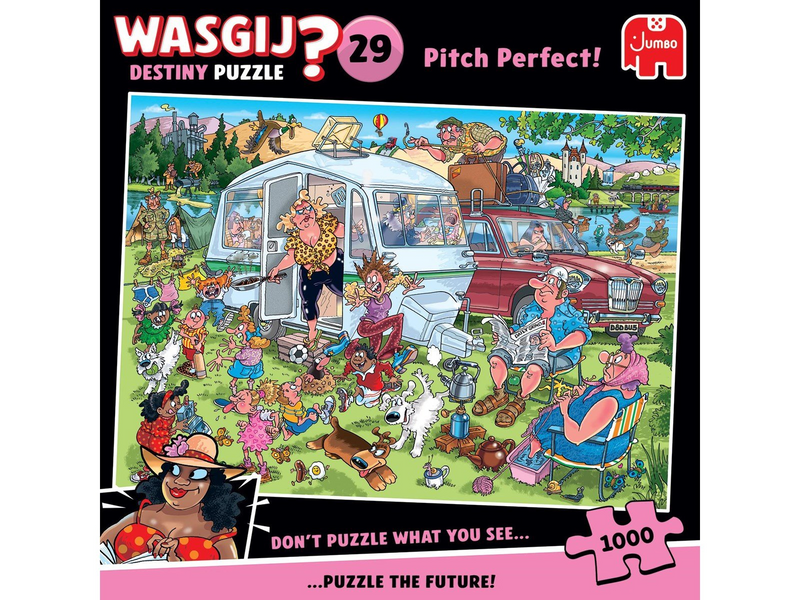 Wasgij Destiny 29 Pitch Perfect! (1000)