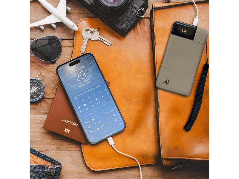 Aqiila Powerbird B10 - 20W - Powerbank (Akku) - schwarz - 10000 mAh